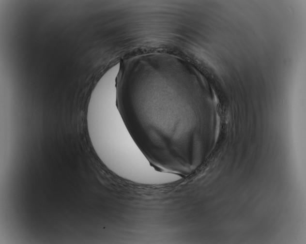 X0000094210868200711161827
