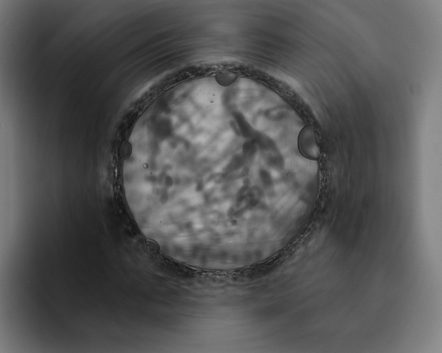 X0000094210871200711161827