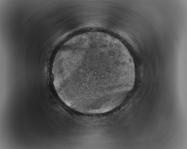 X0000094210872200711161827