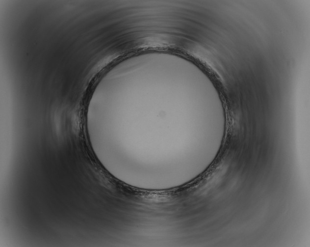 X0000094210874200711161827