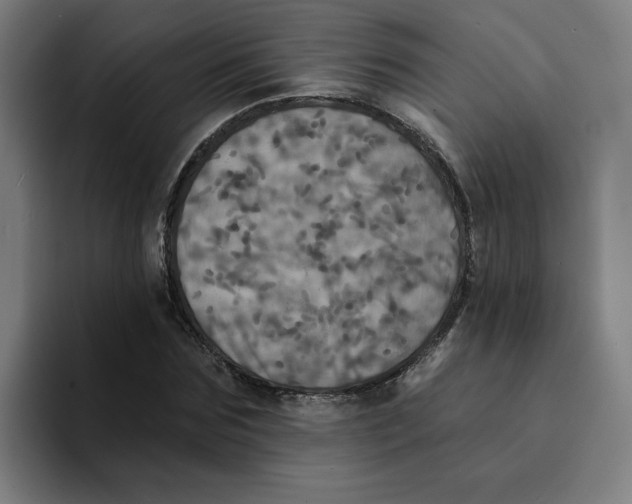X0000094210875200711161827