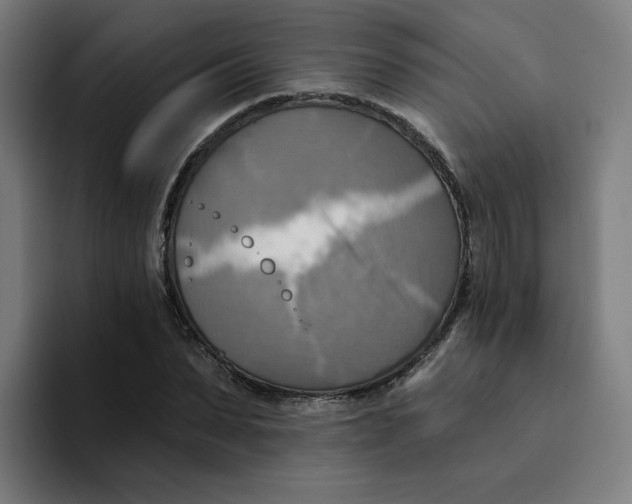 X0000094210879200711161826