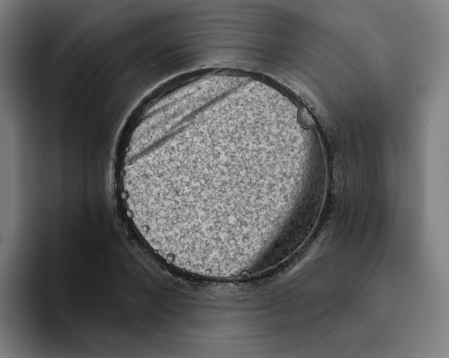 X0000094210880200711161826