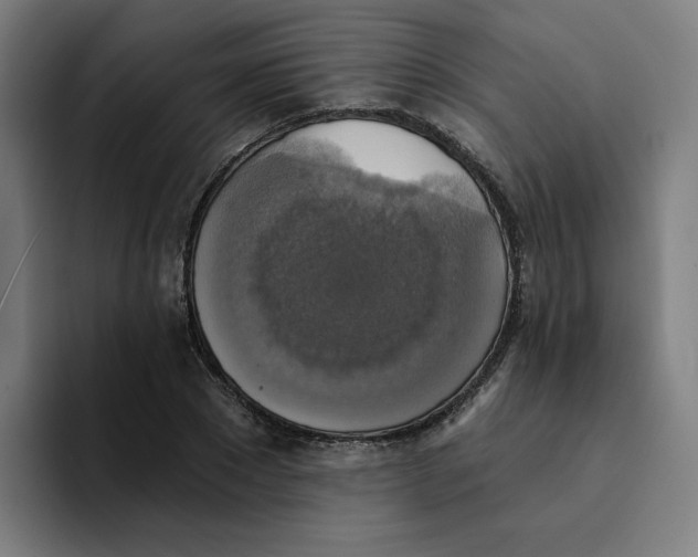 X0000094210881200711161826