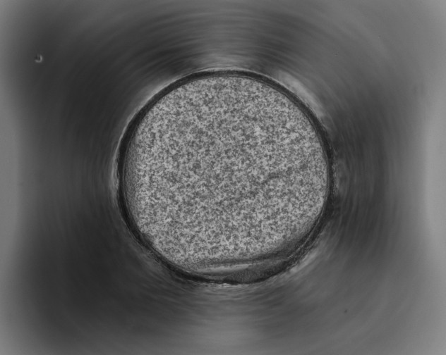 X0000094210885200711161826