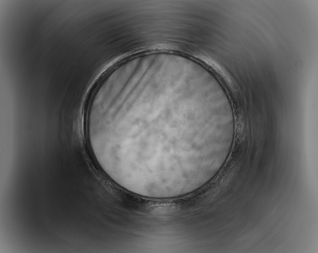 X0000094210886200711161826