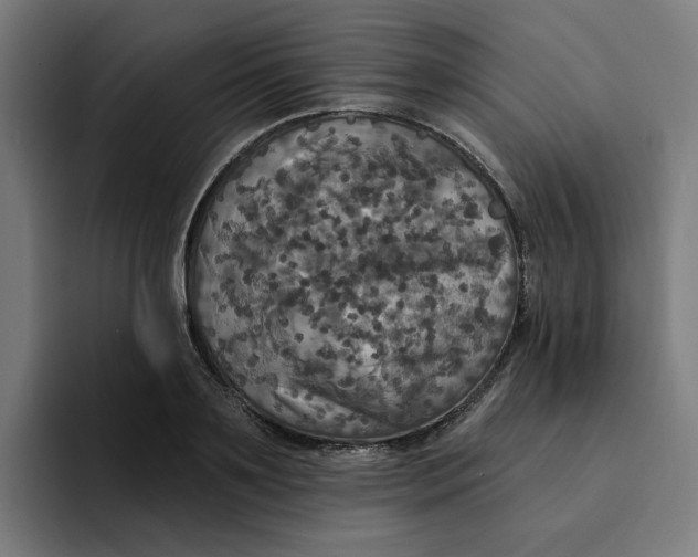 X0000094210891200711161826