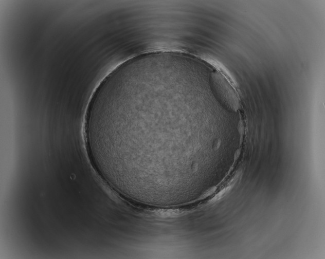 X0000094210893200711161826