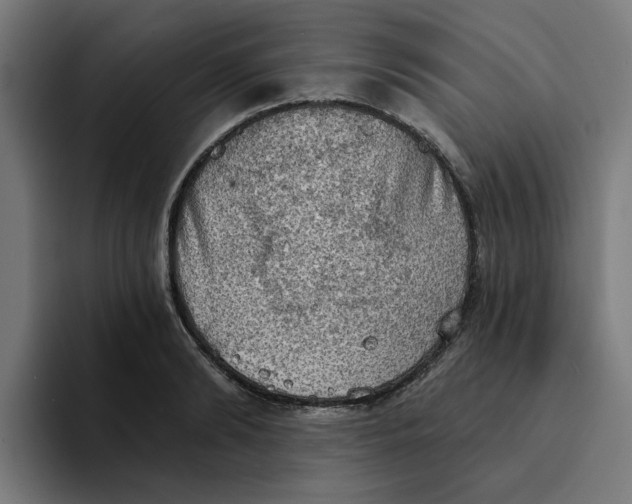 X0000094210894200711161826