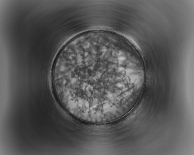 X0000094210895200711161826