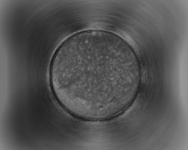 X0000094210896200711161826