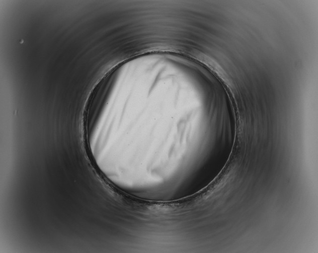X0000094210898200711161826