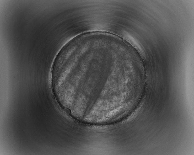 X0000094210900200711161826