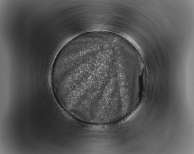 X0000094210901200711161826