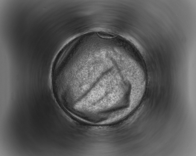 X0000094210902200711161826