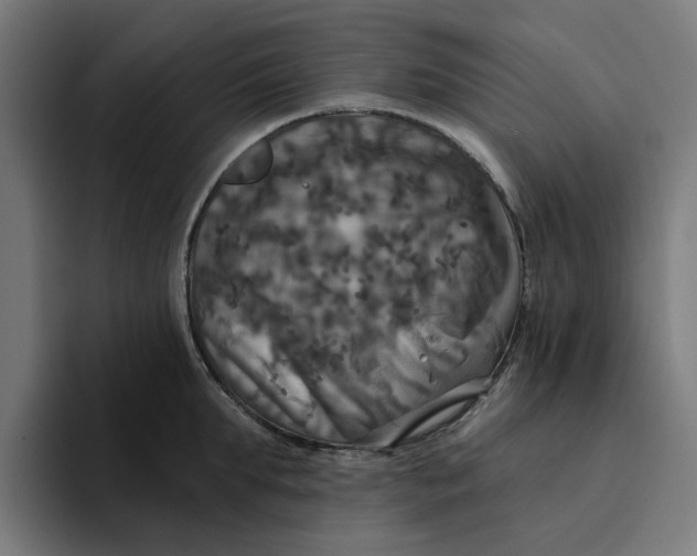 X0000094210903200711161826