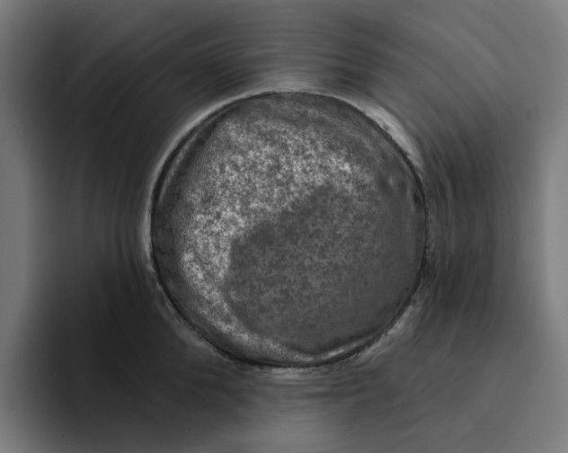 X0000094210904200711161826