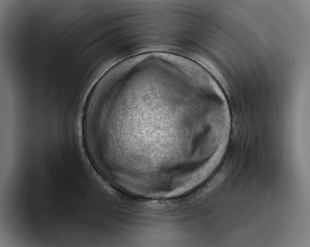 X0000094210906200711161826