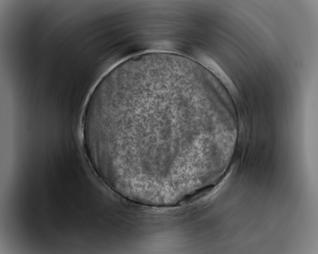 X0000094210908200711161826