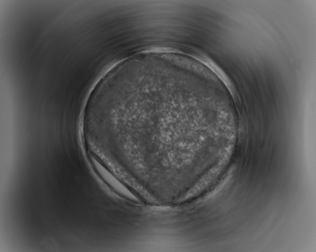 X0000094210909200711161826