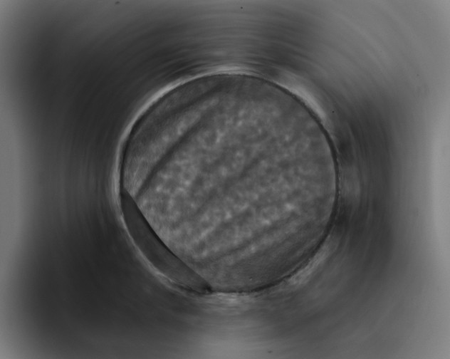 X0000094210910200711161826