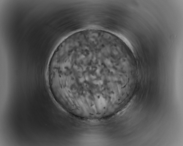 X0000094210911200711161826