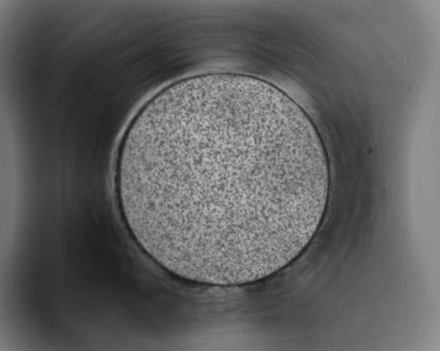 X0000094210912200711161826