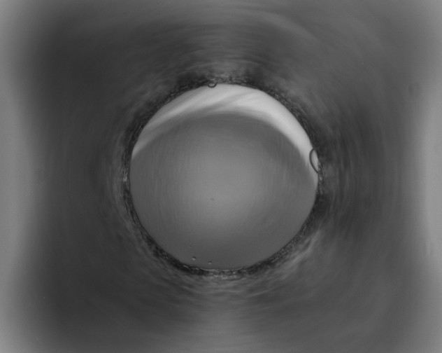 X0000094210913200711161825