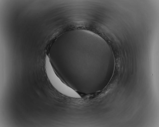 X0000094210916200711161825