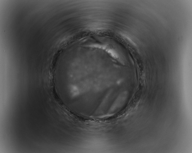 X0000094210917200711161825