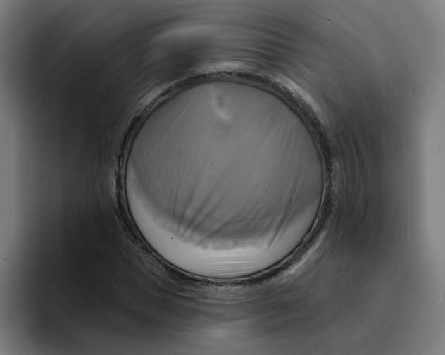 X0000094210921200711161826