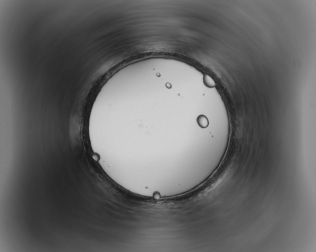 X0000094210922200711161826