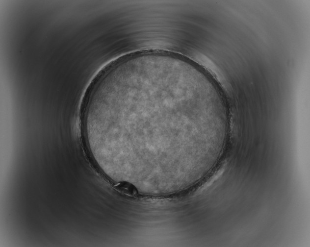 X0000094210924200711161826