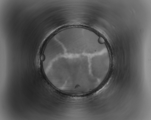 X0000094210925200711161826