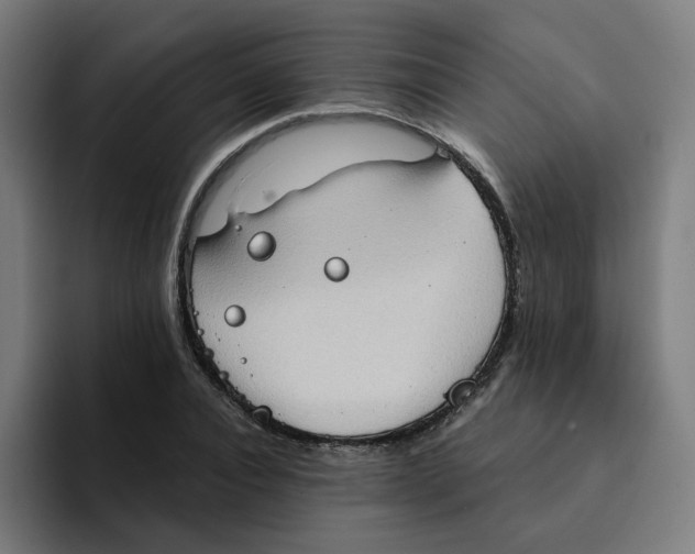 X0000094210928200711161826
