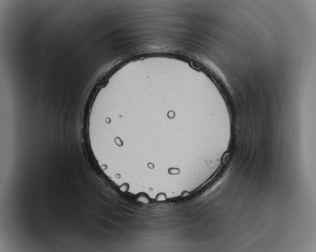 X0000094210930200711161826