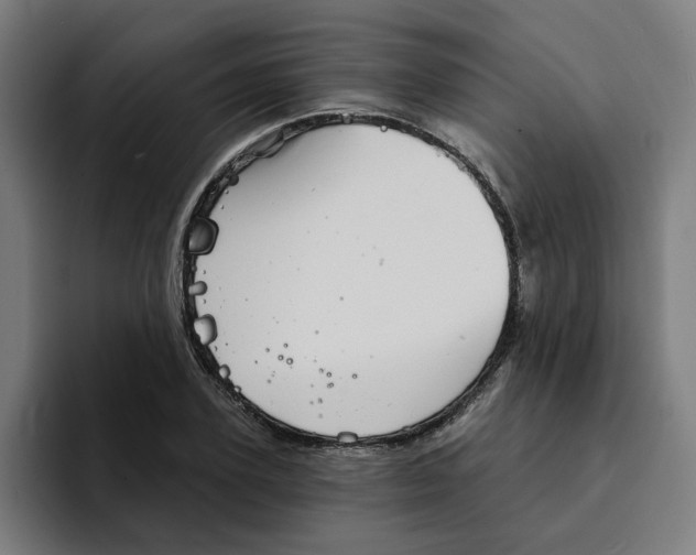 X0000094210931200711161826