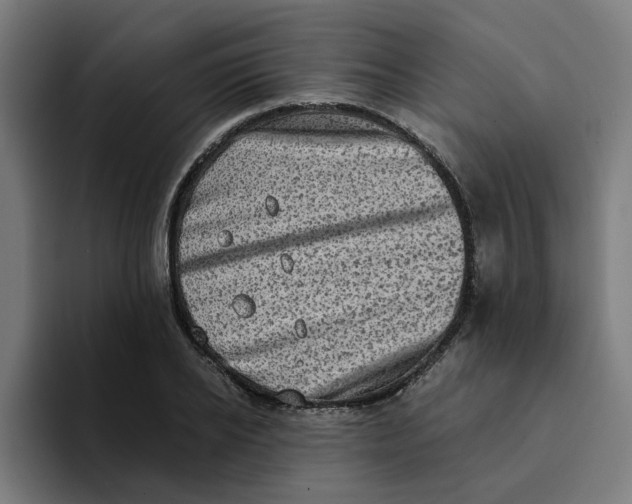 X0000094210934200711161826