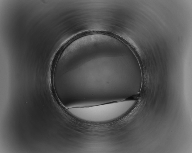 X0000094210935200711161826