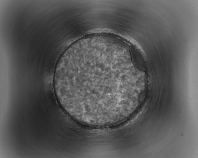 X0000094210937200711161826