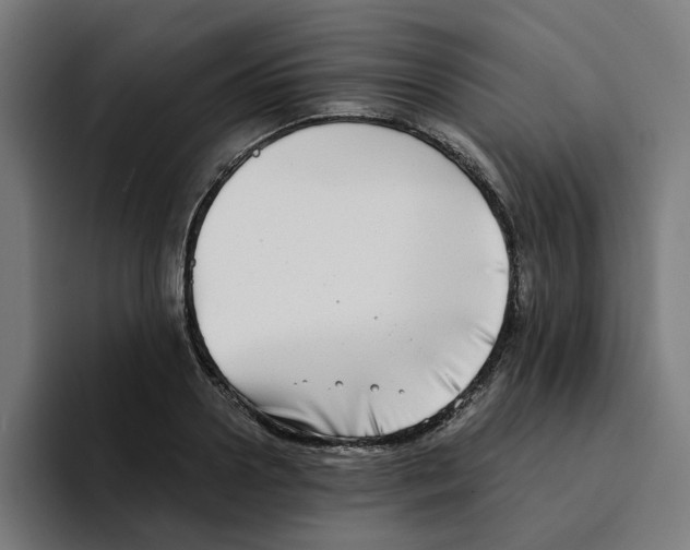 X0000094210938200711161826