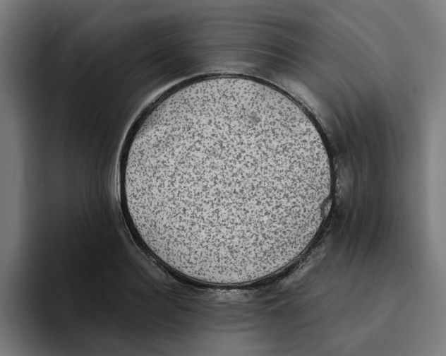 X0000094210940200711161826