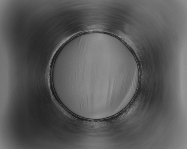 X0000094210941200711161826
