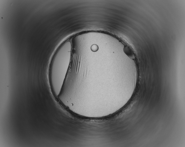 X0000094210942200711161826