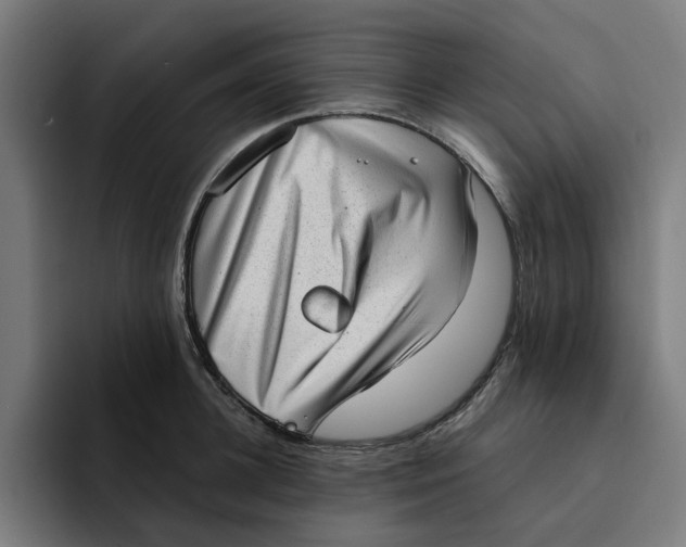 X0000094210948200711161826