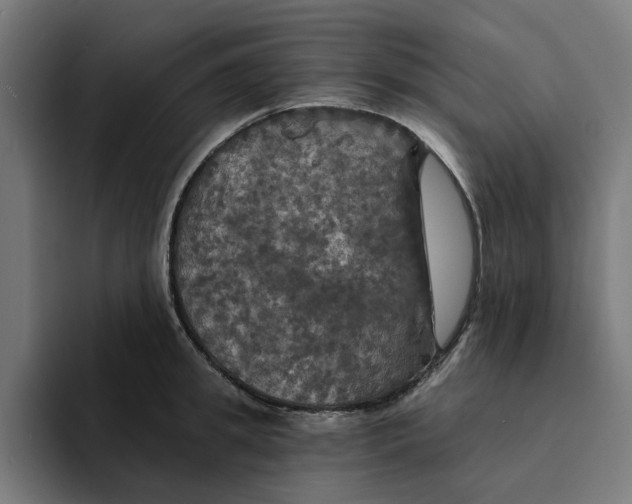 X0000094210949200711161826