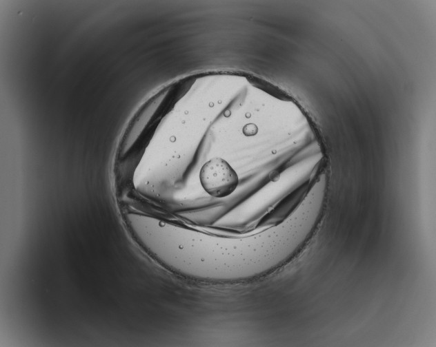 X0000094210950200711161826