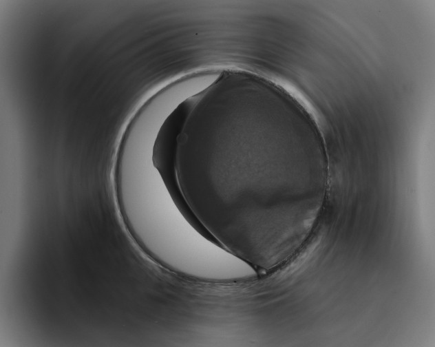 X0000094210951200711161826