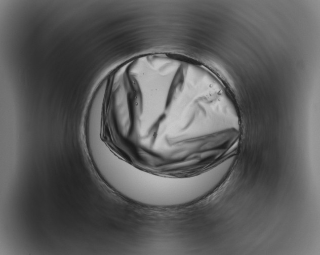 X0000094210952200711161826