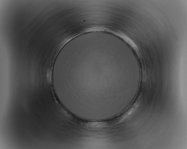 X0000094210953200711161826